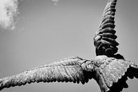 Monochrome Angel