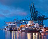 Moored container ships at illuminated terminal at twilight, Antwerp by Tony Vingerhoets thumbnail