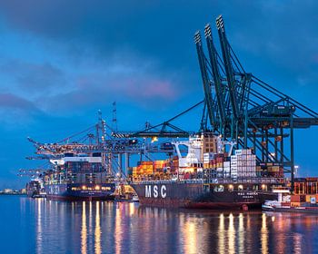 Moored container ships at illuminated terminal at twilight, Antwerp