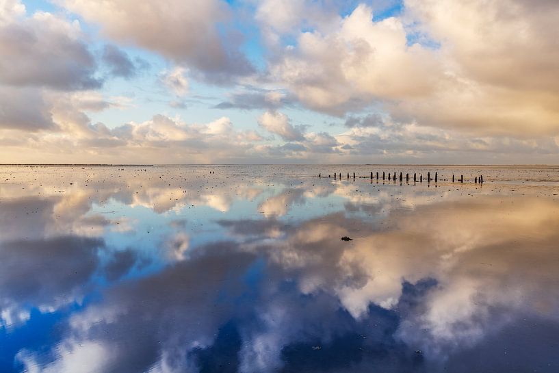 Wadden Meer nahe Wierum, die Niederlande. von AGAMI Photo Agency