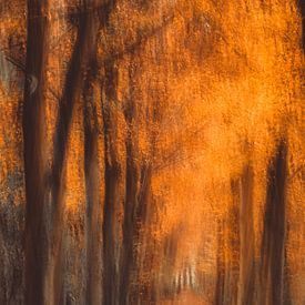Avenue of trees in orange (ICM, impressionism) by Fotografie Jeronimo
