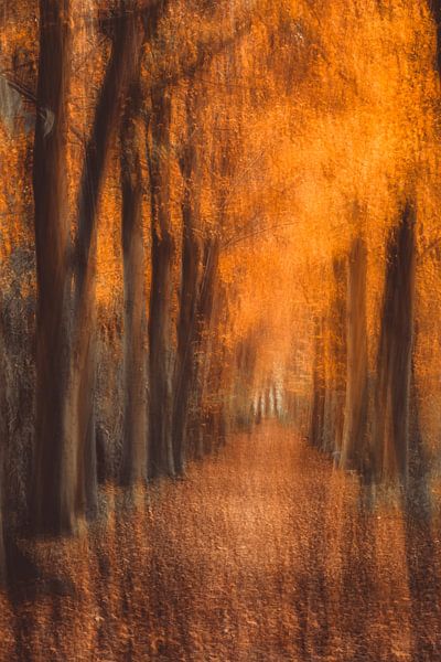 Bomenlaan in oranje (ICM, impressionisme) van Fotografie Jeronimo