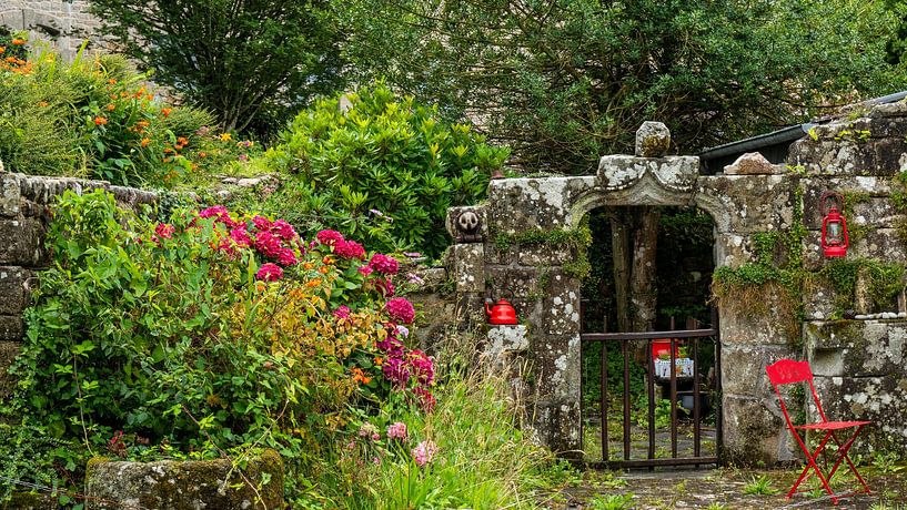 Oude tuinmuur met rozen in Locronan | Bretagne van Flatfield