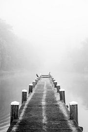 Jetée dans un canal avec un grand cormoran assis au loin sur Sjoerd van der Wal Photographie
