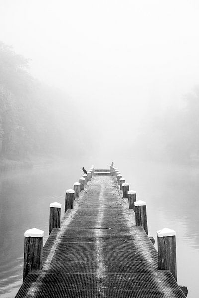 Pier in a canal with a great cormorant sitting in the distance by Sjoerd van der Wal Photography