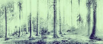 Pittoresk bos in de mist van Günter Albers