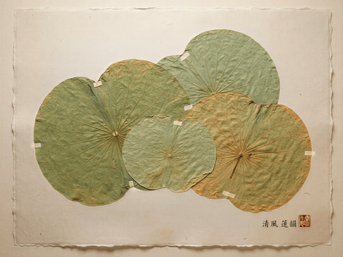 Minimalisme « Japandi » : feuilles de lotus séchées aux tons terreux sur du papier fabriqué à la main