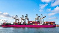 Containerschip bij de containerterminal in de haven van Rotterdam van Sjoerd van der Wal Fotografie thumbnail