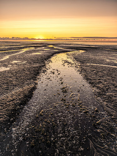 Zomeravond op het wad
