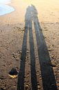 Longue ombre d'un couple sur la plage par Anna van Leeuwen Aperçu