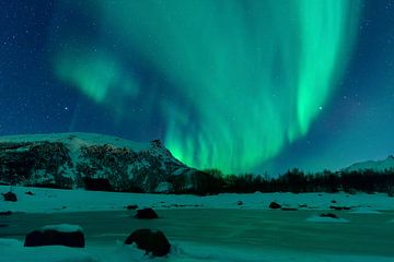 Nordlichter über den schneebedeckten  Gipfeln der Lofoten in Norwegen von Sjoerd van der Wal