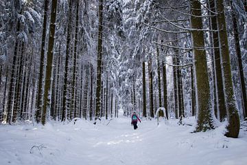 Hiken in de sneeuw in Duitsland