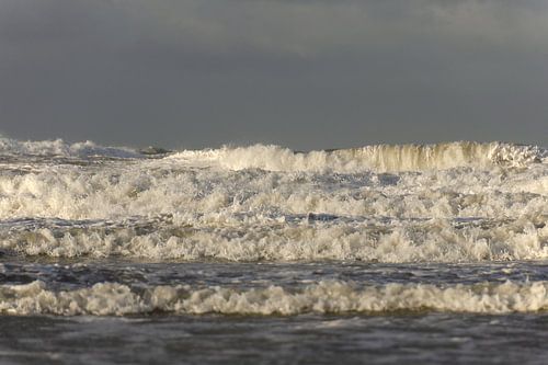 Wild Sea