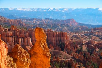 Bryce Canyon, United States by Colin Bax