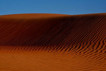 DÉSERT 2 sur Miroslav Ptacek