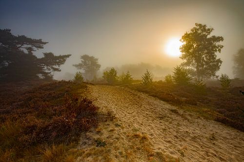 Heidelandschap zonsopkomst