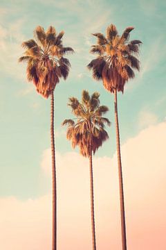 Palm paradise by Philippe HUGONNARD