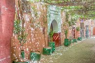 Morocco Marakesh by Marc van Gessel thumbnail