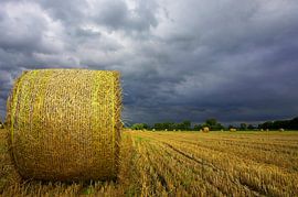 Straw bales with thunderclouds by Frank Herrmann