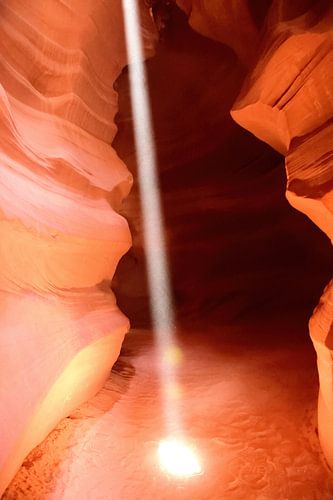 Spotlicht op de canyonvloer