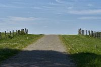 Cobbled road to the meadow