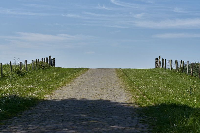 Route pavée jusqu'à la prairie par Gevk - izuriphoto