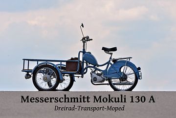 Messerschmitt Mokuli 130 A -- Foto 20 van Ingo Laue
