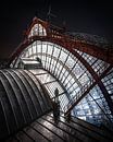 On the roof of Antwerp Central by Jeroen van Dam thumbnail