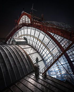 Op het dak van Antwerpen Centraal