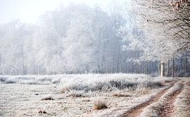 winter landscape drenthe by Karen Velleman