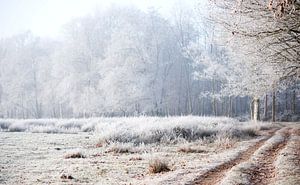 winterlandschap drenthe van Karen Velleman