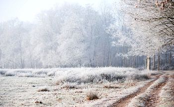 paysage d'hiver drenthe