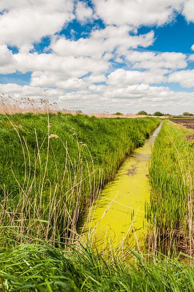 Green padlock in the polder by Richard Janssen