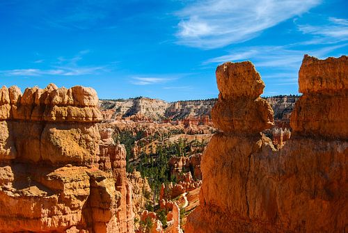 Het landschap van  Bryce Canyon | USA