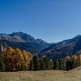 Panorama Ofenpass in autumn by Sean Vos