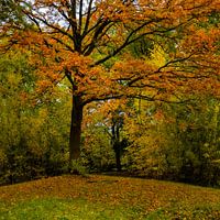 Autumn tour
