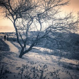 2 wandelaars in de duinen bij Kijkduin,  Den Haag Zuid Holland van Esther van Lottum-Heringa