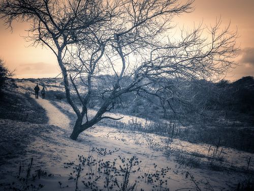 2 wandelaars in de duinen bij Kijkduin,  Den Haag Zuid Holland