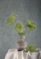 Stilleven, Fluitenkruid (Anthriscus sylvestris) in antique vaasje