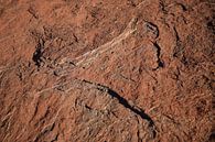 Uluru Ayers Rock van Britt Lamers thumbnail