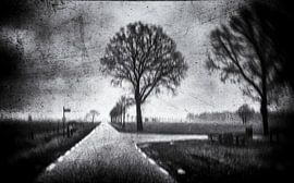 dark autumn days into winter by Peter Smeekens