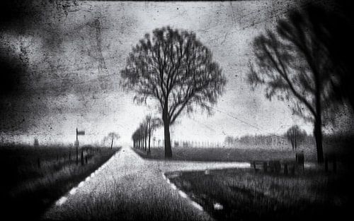 dark autumn days into winter