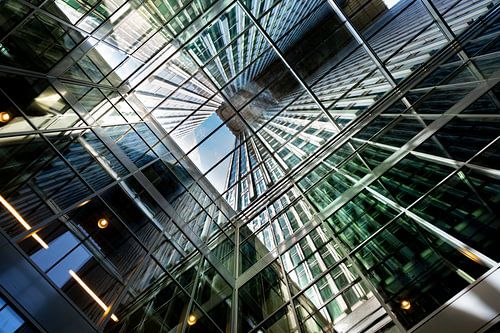 lines from Rotterdam