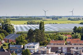 Sexbierum et ses environs depuis la tour de l'église Sixtus