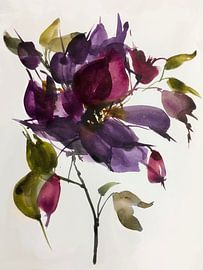 Lila blaue Klematis von annemiek art