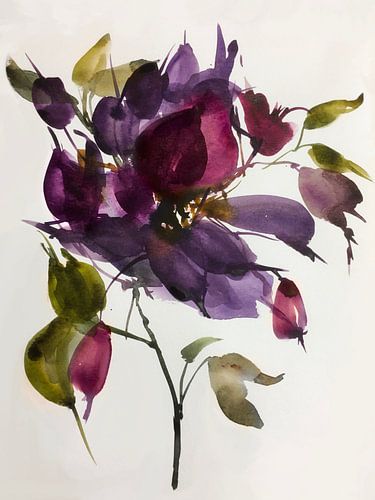 Paars blauwe clematis