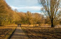 Man en vrouw wandelen samen over een bospad by Ruud Morijn thumbnail