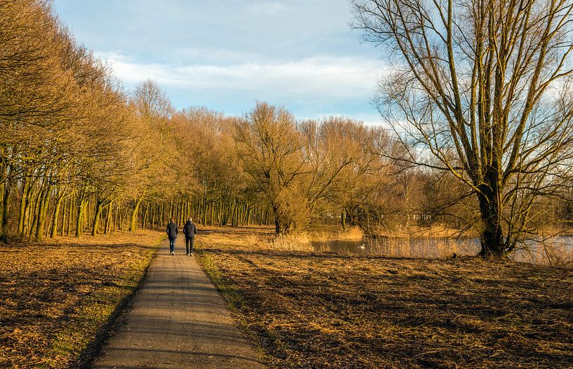 Man en vrouw wandelen samen over een bospad by Ruud Morijn