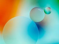Circles | abstract