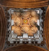 Royal Ceiling
